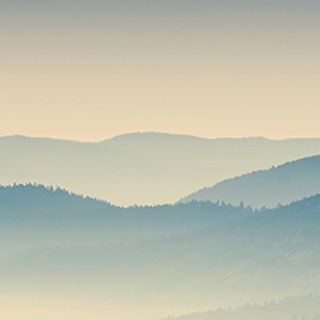 ddos压力测试网页端