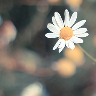 卡密代理批发的免费ddos攻击网页端