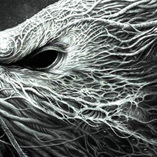 ip攻击器网页版